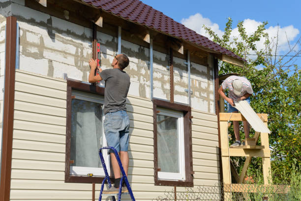 Best Stone Veneer Siding  in Pahrump, NV